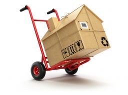 How to Choose an International Removal Company